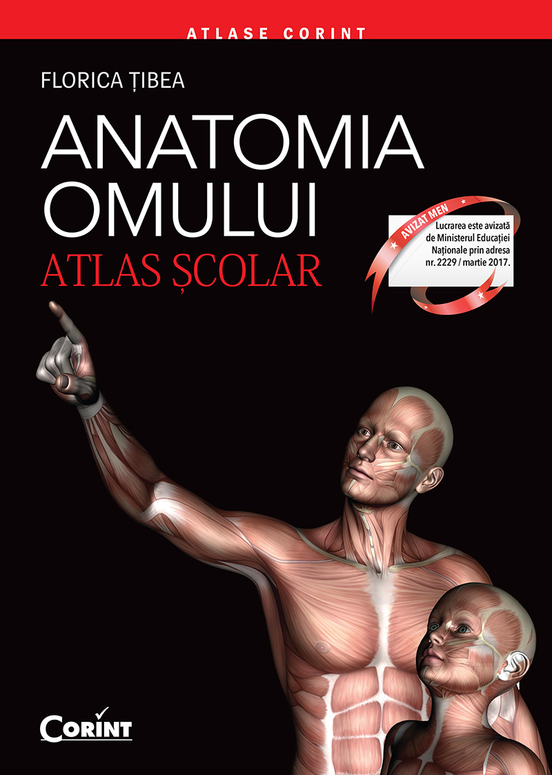 Anatomia omului. Atlas şcolar