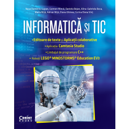 informatica_si_tic_vii-1.png
