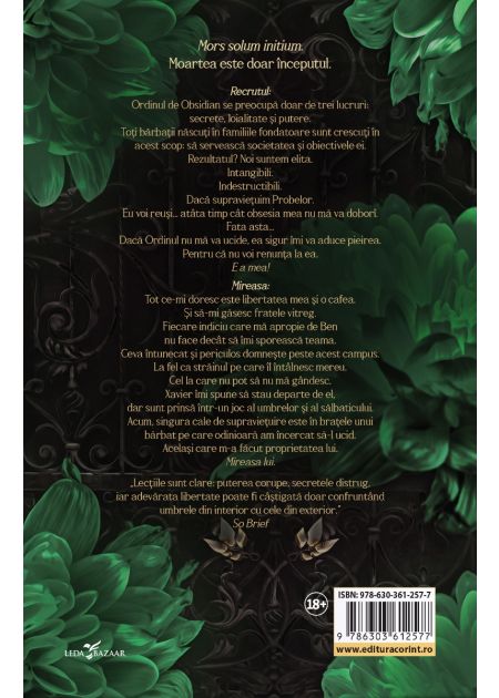 Un secret periculos (prima carte din serie „Ordinul de Obsidian