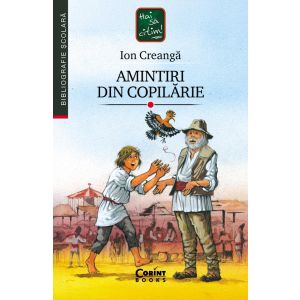 Amintiri din copilărie