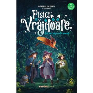 Pisici și vrăjitoare. Boacăne, magii și alte minunății