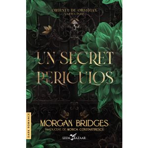 Un secret periculos (prima carte din serie &bdquo;Ordinul de Obsidian&rdquo;)