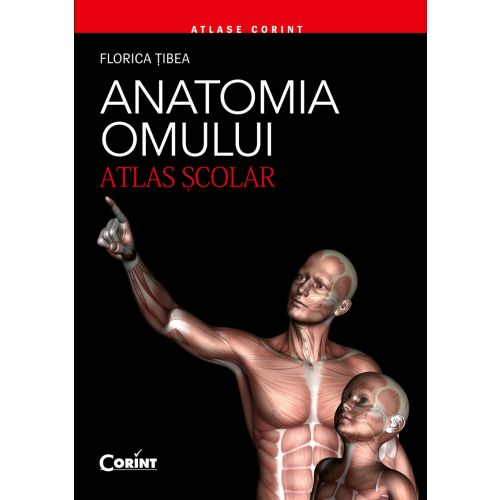 Anatomia omului. Atlas şcolar