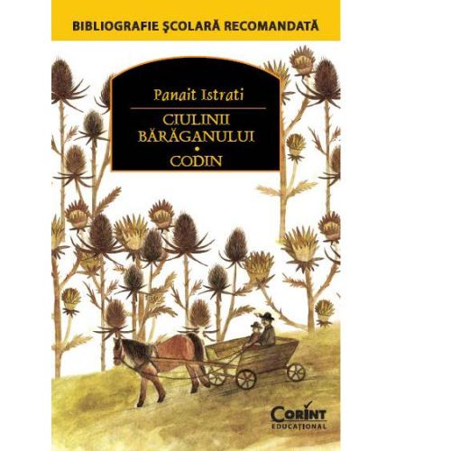 Ciulinii bărăganului. Codin