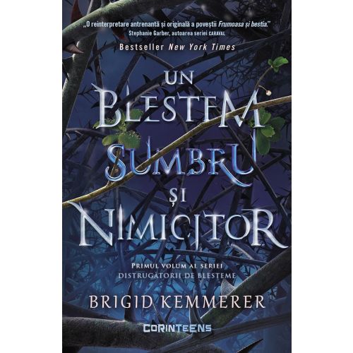 Un blestem sumbru si nimicitor (vol.1 din seria Distrugatorii de blesteme)