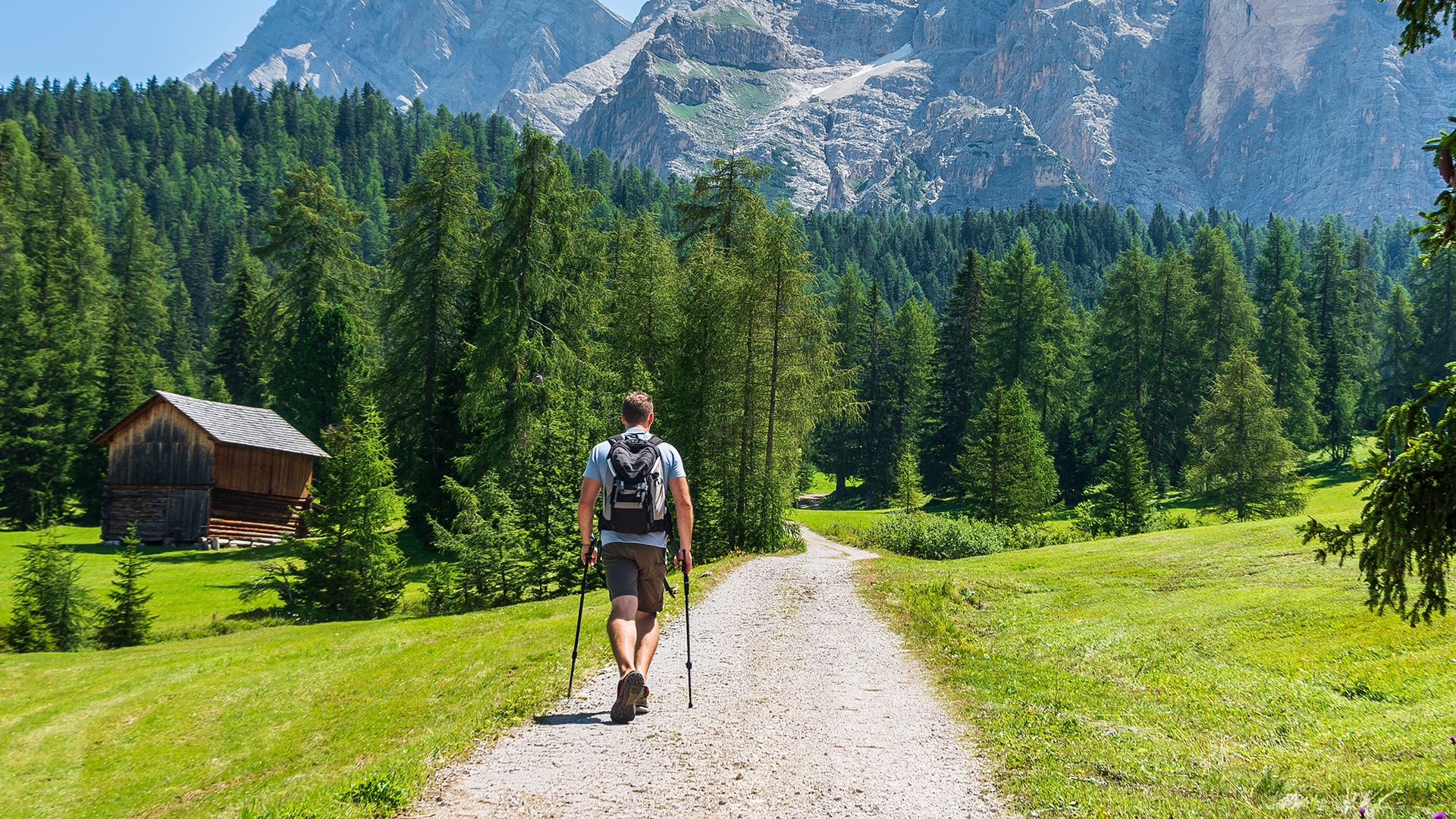 Cabane, păduri și secrete: thrillere perfecte pentru vacanța la munte